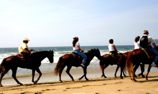 Rutas a caballo por la playa